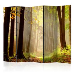 5-daļīgs aizslietnis - Mysterious forest path II [Room Dividers] cena un informācija | Aizslietņi | 220.lv