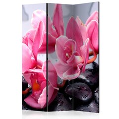 3-daļīgs aizslietnis - Orchid flowers with zen stones [Room Dividers] cena un informācija | Aizslietņi | 220.lv