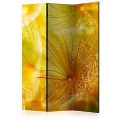 3-daļīgs aizslietnis - Soft dandelion flower [Room Dividers] cena un informācija | Aizslietņi | 220.lv