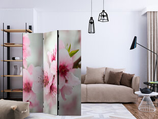 3-daļīgs aizslietnis - Spring, blooming tree - pink flowers [Room Dividers] cena un informācija | Aizslietņi | 220.lv