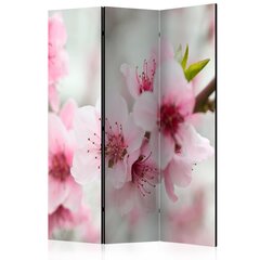 3-daļīgs aizslietnis - Spring, blooming tree - pink flowers [Room Dividers] cena un informācija | Aizslietņi | 220.lv