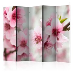 5-daļīgs aizslietnis - Spring, blooming tree - pink flowers II [Room Dividers] cena un informācija | Aizslietņi | 220.lv