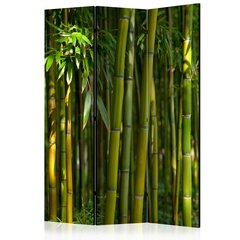 3-daļīgs aizslietnis - Oriental Garden [Room Dividers] cena un informācija | Aizslietņi | 220.lv