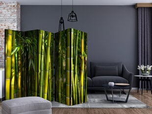 5-daļīgs aizslietnis - Oriental Garden II [Room Dividers] cena un informācija | Aizslietņi | 220.lv