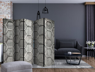 5-daļīgs aizslietnis - Platinum cubes II [Room Dividers] cena un informācija | Aizslietņi | 220.lv