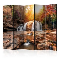 5-daļīgs aizslietnis - Silent Waterfall II [Room Dividers] cena un informācija | Aizslietņi | 220.lv