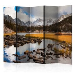 5-daļīgs aizslietnis - Mountain stream II [Room Dividers] cena un informācija | Aizslietņi | 220.lv