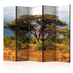 5-daļīgs aizslietnis - Samburu National Reserve, Kenya II [Room Dividers] cena un informācija | Aizslietņi | 220.lv