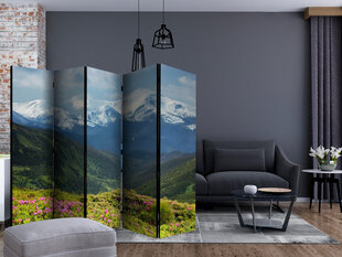 5-daļīgs aizslietnis - Spring mountain landscape II [Room Dividers] cena un informācija | Aizslietņi | 220.lv