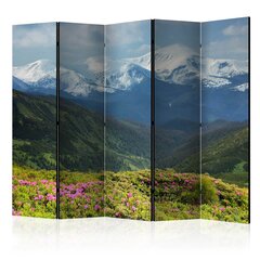 Ширма Spring mountain landscape цена и информация | Мобильные стенки | 220.lv