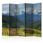 5-daļīgs aizslietnis - Spring mountain landscape II [Room Dividers] цена и информация | Aizslietņi | 220.lv