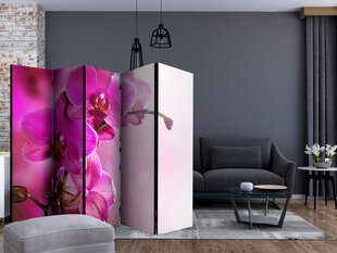 5-daļīgs aizslietnis - Pink orchid II [Room Dividers] cena un informācija | Aizslietņi | 220.lv