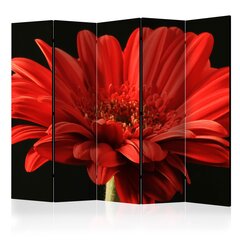 5-daļīgs aizslietnis - Red gerbera flower II [Room Dividers] cena un informācija | Aizslietņi | 220.lv