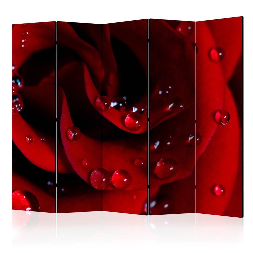 5-daļīgs aizslietnis - Red rose with water drops II [Room Dividers] cena un informācija | Aizslietņi | 220.lv