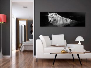 Картина Shining Tiger цена и информация | Картины | 220.lv