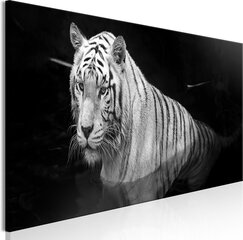 Glezna - Shining Tiger (1 Part) Black and White Narrow cena un informācija | Gleznas | 220.lv