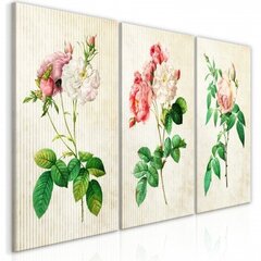 Glezna - Floral Trio (Collection) cena un informācija | Gleznas | 220.lv