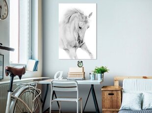 Картина White Horse цена и информация | Картины | 220.lv