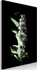 Картина White Lilacs цена и информация | Картины | 220.lv
