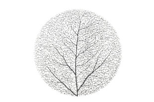 4Living galda paliktnis Tree Silver, 38x38 cm цена и информация | Скатерти, салфетки | 220.lv