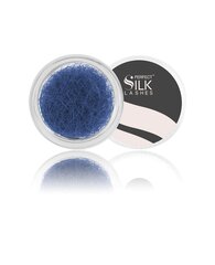 Perfect Silk Lashes, Zīda Skropstas 2500 J.12 zilnas 10 mm cena un informācija | Mākslīgās skropstas, skropstu atliecēji | 220.lv