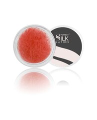 Perfect Silk Lashes, Zīda Skropstas 2500 J.12 sarkanas 10 mm cena un informācija | Mākslīgās skropstas, skropstu atliecēji | 220.lv