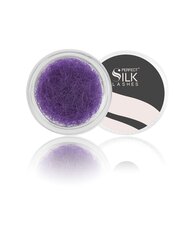 Perfect Silk Lashes, Zīda Skropstas 2500 J.12 violetas 13 mm цена и информация | Накладные ресницы, керлеры | 220.lv