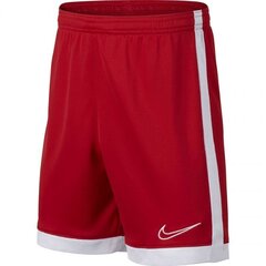 Спортивные шорты для детей Nike B Dry Academy Jr AO0771 657 цена и информация | Шорты для мальчиков | 220.lv