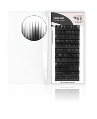 Perfect Silk Lashes, Норковые ресницы D.05 идеальный хаос, черныe 9+9+12 mm цена и информация | Накладные ресницы, керлеры | 220.lv