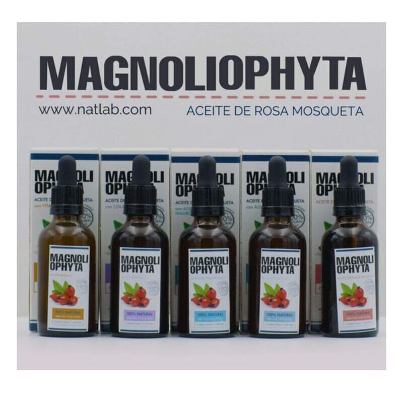 Sejas eļļa Magnoliophytha Mežrozītes Hialuronskābe (50 ml) cena un informācija | Serumi sejai, eļļas | 220.lv