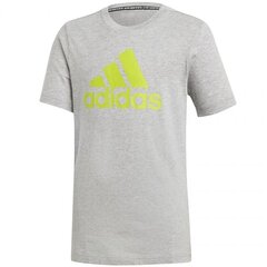 Спортивная футболка для мальчиков Adidas 75207 цена и информация | Рубашки для мальчиков | 220.lv