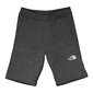 Sporta šorti bērniem The North Face Y FLEECE SHORT NF0A2WAKDYY1 cena un informācija | Bikses zēniem | 220.lv