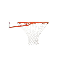 Basketbola vairogs Lifetime Dallas 90065 cena un informācija | Basketbola grozi | 220.lv