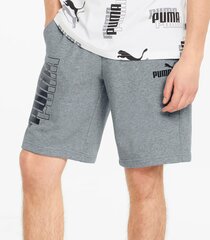 Мужские шорты Puma Power logo 847380*03, серые 4064535661590 цена и информация | Мужские шорты | 220.lv