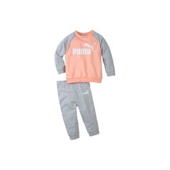 Komplekts bērniem Puma Minicats Essentials Raglan Jogger Junior Tracksuit 584861 26 cena un informācija | Puma Apģērbs zēniem | 220.lv