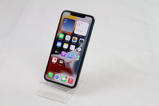 iPhone 11 Pro Max 256GB Space Gray (lietots, stāvoklis B) cena un informācija | Mobilie telefoni | 220.lv