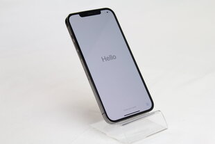 iPhone 12 Pro Max 256GB Graphite (lietots, stāvoklis A) cena un informācija | Mobilie telefoni | 220.lv