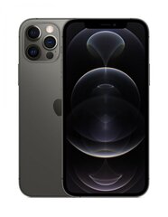 iPhone 12 Pro Max 256GB Graphite (lietots, stāvoklis A) цена и информация | Мобильные телефоны | 220.lv