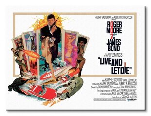 Džeimss Bonds (Live And let Die) - audekla glezna 40x30 cm cena un informācija | Gleznas | 220.lv