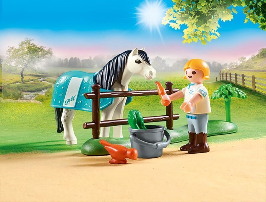 70522 Playmobil, kolekcija Pony - Classic cena un informācija | Konstruktori | 220.lv