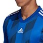 Sporta krekls Adidas Striped 19 LS ar garām piedurknēm M DP3208, 47174 цена и информация | Sporta apģērbs vīriešiem | 220.lv