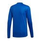 Sporta krekls Adidas Striped 19 LS ar garām piedurknēm M DP3208, 47174 цена и информация | Sporta apģērbs vīriešiem | 220.lv