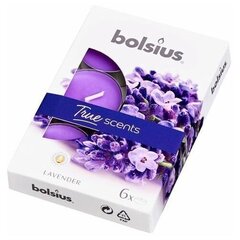 Свечки Bolsius True Scents, 6 шт., Лаванда цена и информация | Подсвечники, свечи | 220.lv