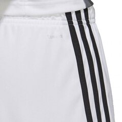 Adidas Жилеты Helionic Vest Green HG6274 цена и информация | Мужская спортивная одежда | 220.lv