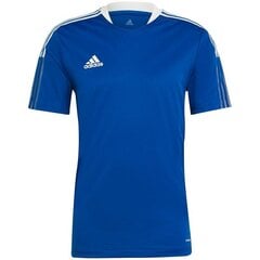 T-krekls vīriešiem Adidas, zils цена и информация | Мужская спортивная одежда | 220.lv