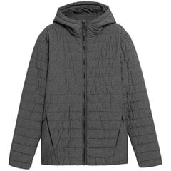 Куртка мужская 4F H4Z21 KUMP004, серая цена и информация | Мужские куртки | 220.lv