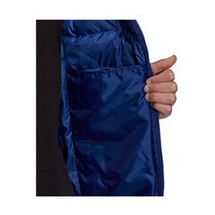 Куртка мужская Adidas Essentials Down M GT9173 цена и информация | Мужские куртки | 220.lv