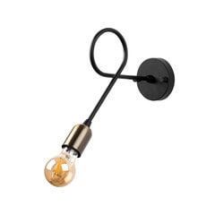 Sienas lampa 942FLG2131 цена и информация | Настенные светильники | 220.lv