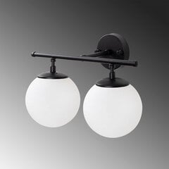 Sienas lampa 942FLG2157 цена и информация | Настенные светильники | 220.lv