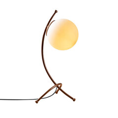Galda lampa 584TTM1723 цена и информация | Настольные лампы | 220.lv